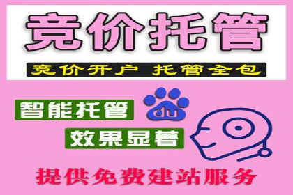 SEM外包助力企业海外市场拓展案例